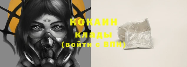 твердый Осинники