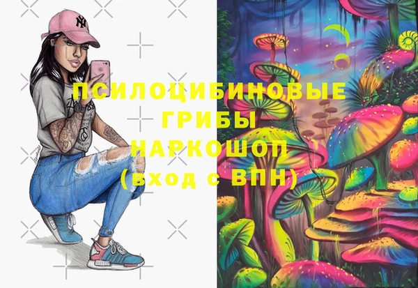 твердый Осинники